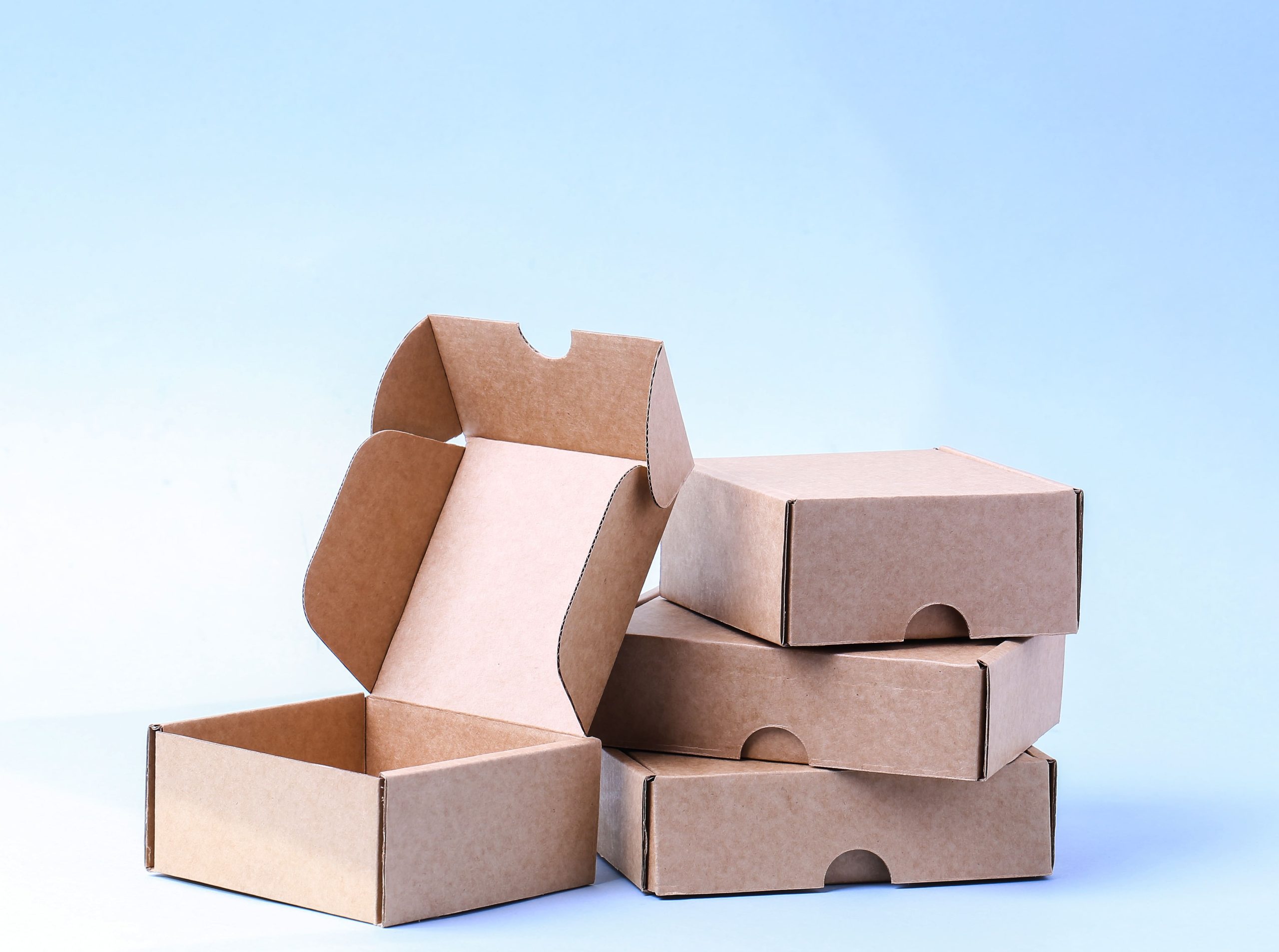 The Role of Packaging in Food and Beverage Manufacturing
